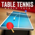 Table Tennis World